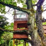 Tree-houses-depict-the-best-vacation-spot-for-tourists