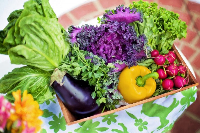 Benefits of Gardening and Landscaping