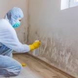 mold-remediation-services