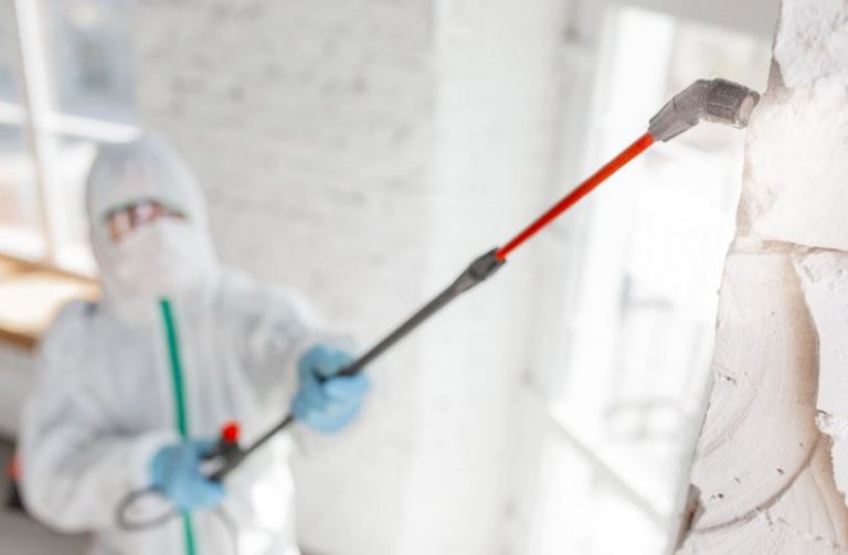 Mold-Remediation